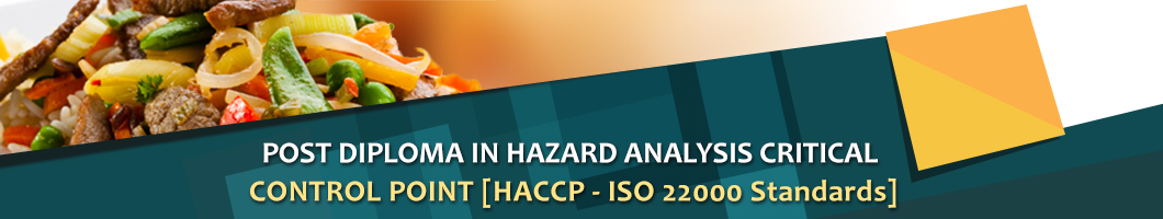 Diploma_new_course_HAZARD-ANALYSIS